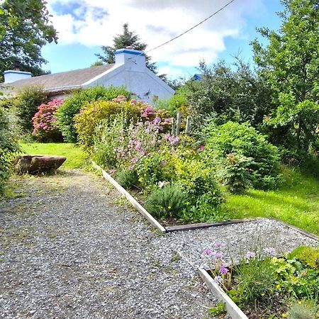 The Rockhouse - Cosy Stone Built Thatch Cottage Dungloe Eksteriør bilde